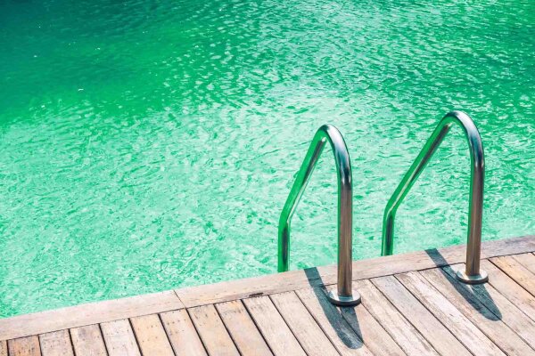 Algen im Pool effektiv entfernen - 