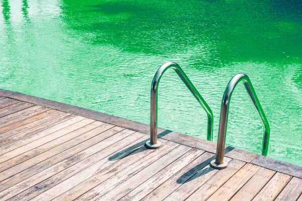 Algenprobleme im Pool: nachhaltige Vorbeugung  - 